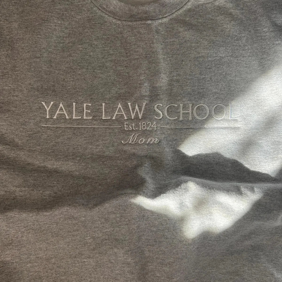 Custom college hoodie gift idea for graduation
